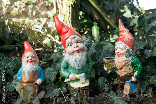 фотографія three hard-working garden gnoms