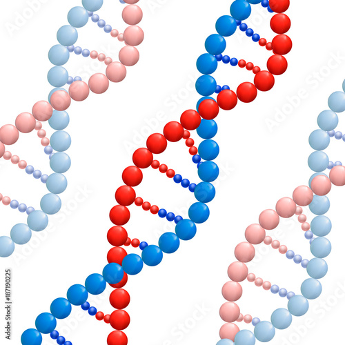 Structure of the DNA, VECTOR illustration on white background