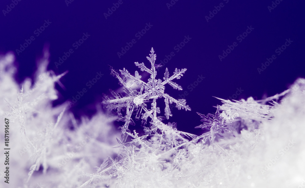 natural snowflakes, photo real snowflakes during a snowfall