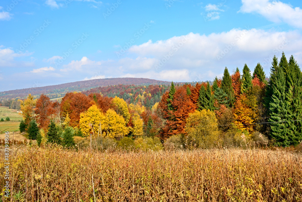 Autumn  mountains landscape