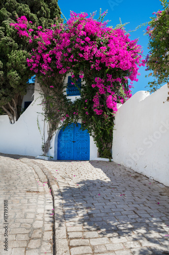  View of the white wall with a blue door and a window covered with a bush of flowering bougainvillea. Tunisia. Sidi Bou Said. © Natalia Timchenko