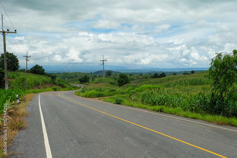 Fototapeta premium Country road passing through a field on which grow corn
