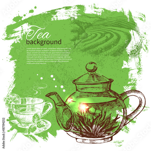 Tea vintage background. Hand drawn sketch illustration. Menu design