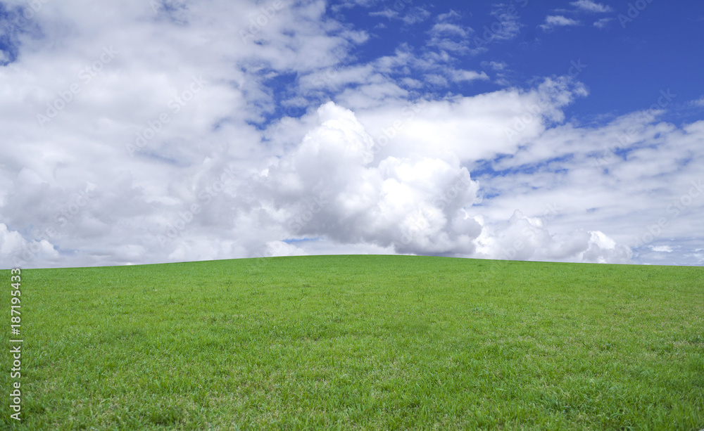 Green grass and blue sky. Very simple country landscape.