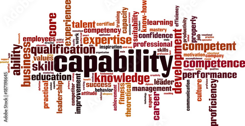 Capability word cloud
