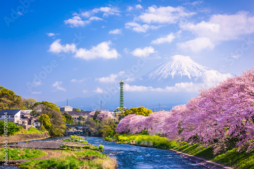 Mt. Fuji in Spring