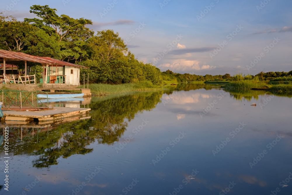 Fototapeta premium Damas Island mangrove area - Costa Rica