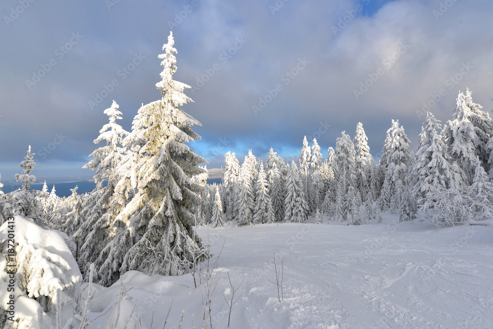Foto Wintesport im Fichtelgebirge am Ochsenkopf Foto Wintesport im Fichtelgebirge am Ochsenkopf