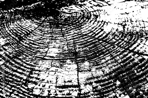 Realistic wood texture - vector pattern - black and white, Wood cross section background,