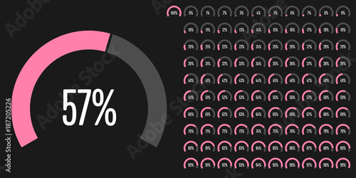 Set of circular sector percentage diagrams from 0 to 100 ready-to-use for web design, user interface (UI) or infographic - indicator with pink