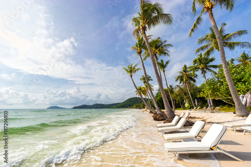Tableau sur toile Peaceful paradise seascape of sunbeds under tropical palm trees on beautiful emp