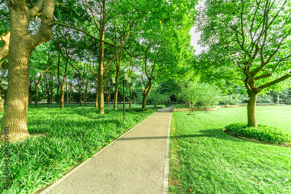 Obraz premium Shanghai Lujiazui Center Green Park, China