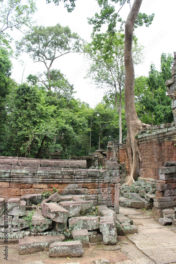 Visiting angkor, Cambodia