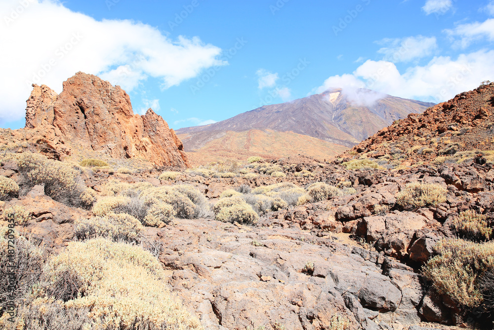 El Teide National Park on Tenerife Island, Canary Islands, Spain, Unesco World Heritage