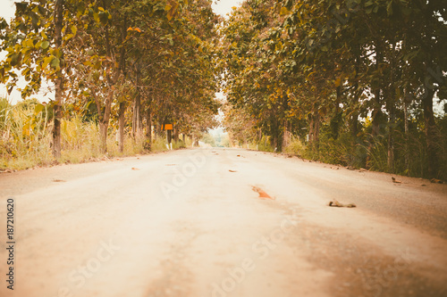 Rural country road amidst g...