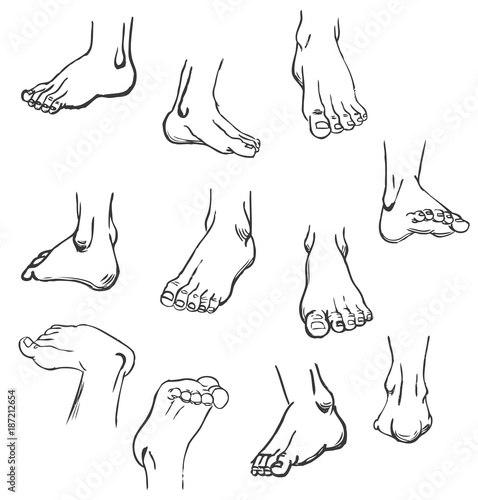 Foot Stops in Foreshortening. Drawing Foot Human