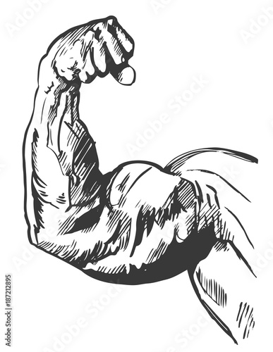 Fototapeta Fist, hand with athletic muscles