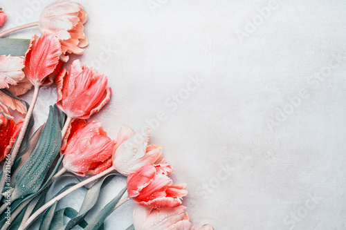 Fototapeta Naklejka Na Ścianę i Meble -  Beautiful tulips border, springtime layout