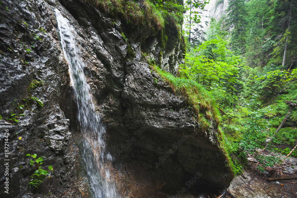 Lonely creek falling from moss covered rock. The canyon in the Tatra Mountains in Slovakia. Little waterfall. Outdoor extreme leisure. Beauty of wild nature. Artistic retouching. Lonely creek falling from moss covered rock. The canyon in the Tatra Mountains in Slovakia. Little waterfall. Outdoor extreme leisure. Beauty of wild nature. Artistic retouching.