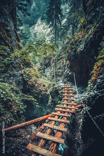 Fototapeta Opuszczony stary drewniany most z metalowym łańcuchem w głębokim, dzikim lesie mieszanym. Droga do nikąd. Outdoor ekstremalne aktywności w Tatrach na Słowacji. Dzika natura.