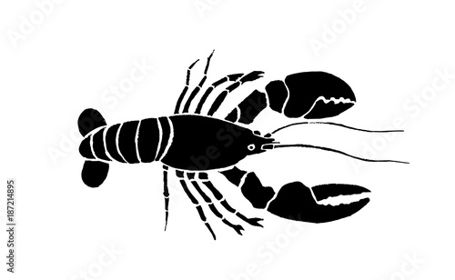 Graphical crab isolated on white background,vector illustration 
