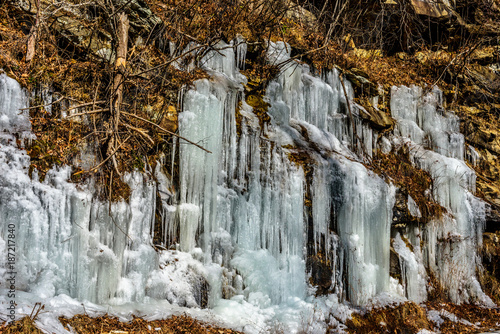 Winter Icing - 15