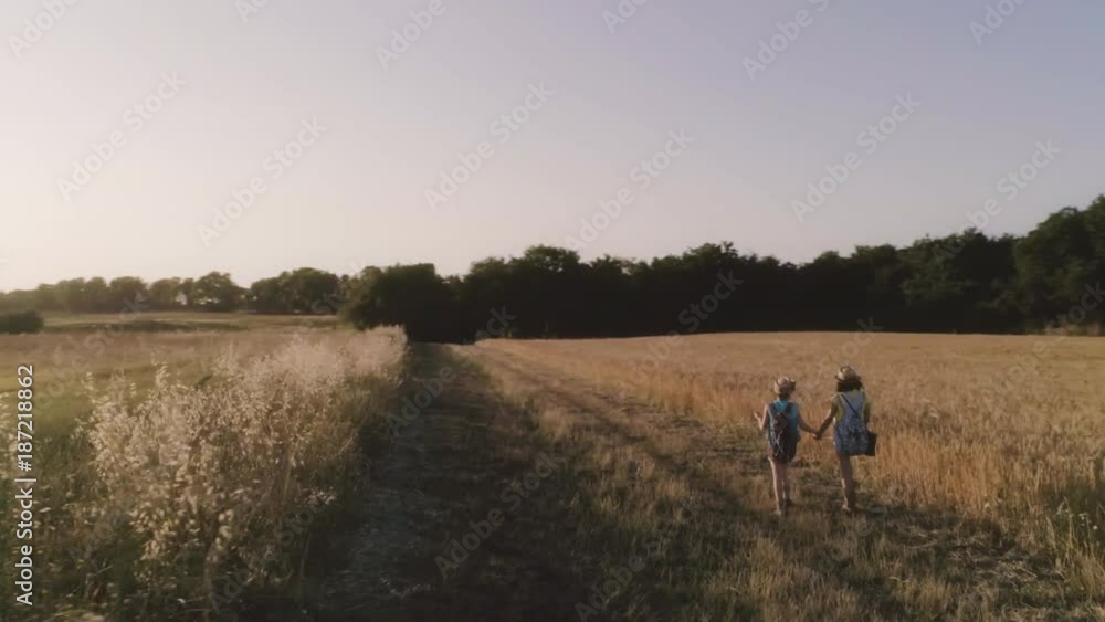 Two young cute little girls walking together in Wheat Field playing at sunset slow motion aerial view wide Two young cute little girls walking together in Wheat Field playing at sunset slow motion aerial view wide