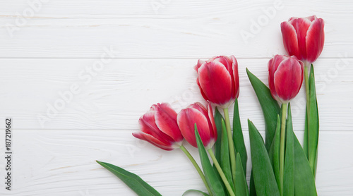 tulips