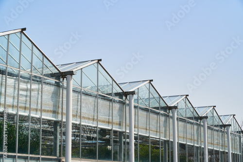 side view of greenhouse © jipen
