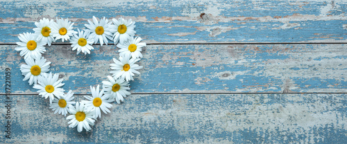 Daisy flowers on wooden background