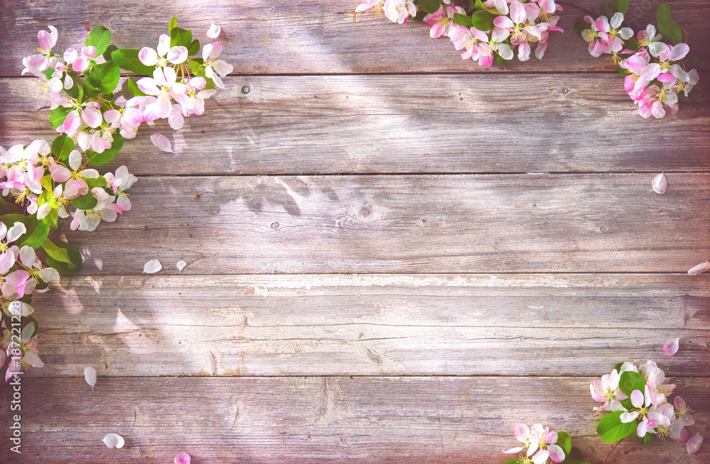 Spring blooming branches on wooden background Spring blooming branches on wooden background