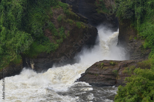 Le cascate Murchison  Uganda