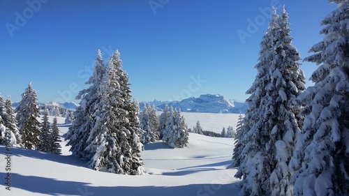 Alpes winter
