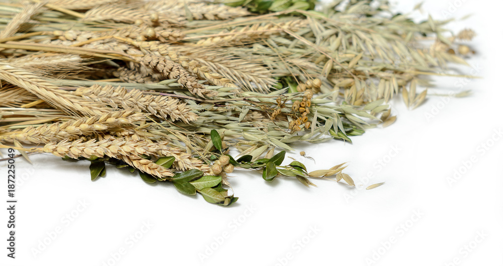 Stems of wheet, rye, flax, oat and periwinkle on white background. Concept symbol of welfare and wealth. Harvest. Ukrainian and slavic national food as basis of bread.