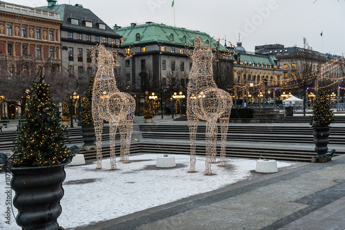 Fototapeta Naklejka Na Ścianę i Meble -  Hjortar som Juldekoration Kungsträdgården