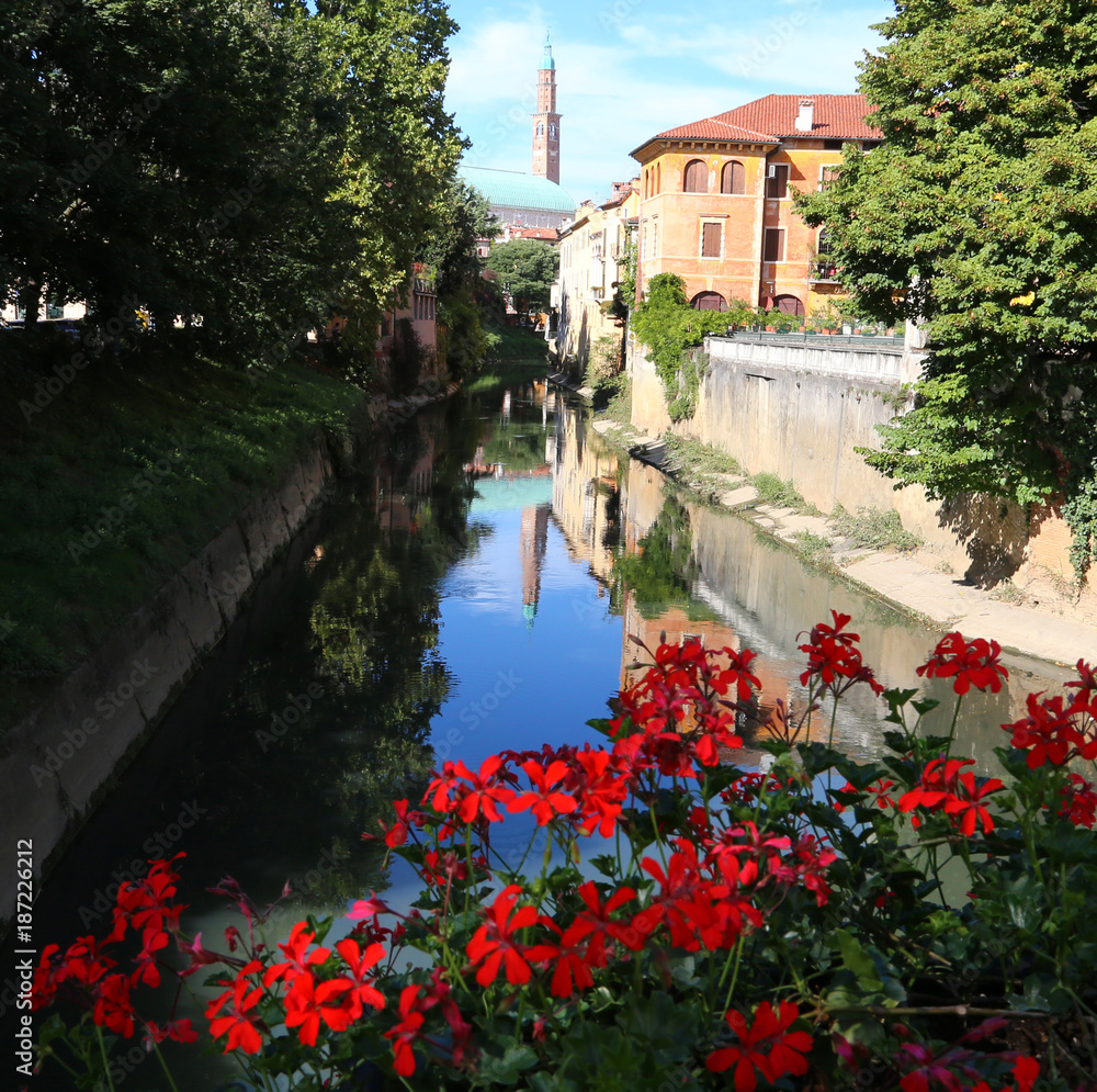 Fototapeta premium red geranium flowers flowering and the ancient monument in Vicenza Italy