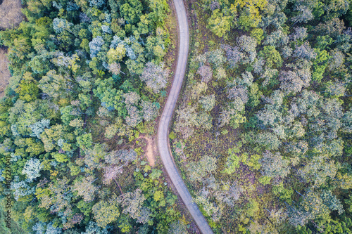 aerial view over Asphalt roads between forests in mountain