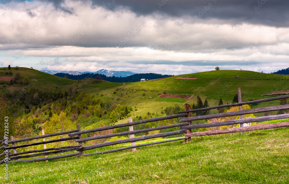 wooden fence on a grassy slope of Carpathian alps. beautiful view of rural fields on hills. mountain ridge with snowy tops in the distance. lovely countryside landscape in springtime