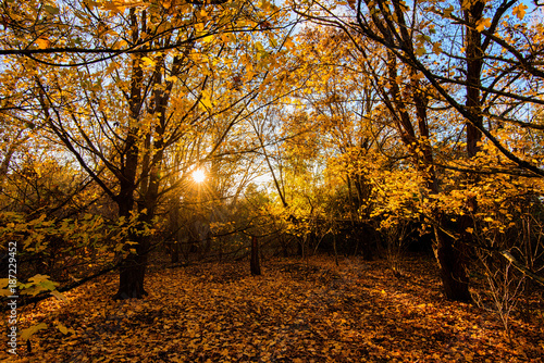 l'automne 