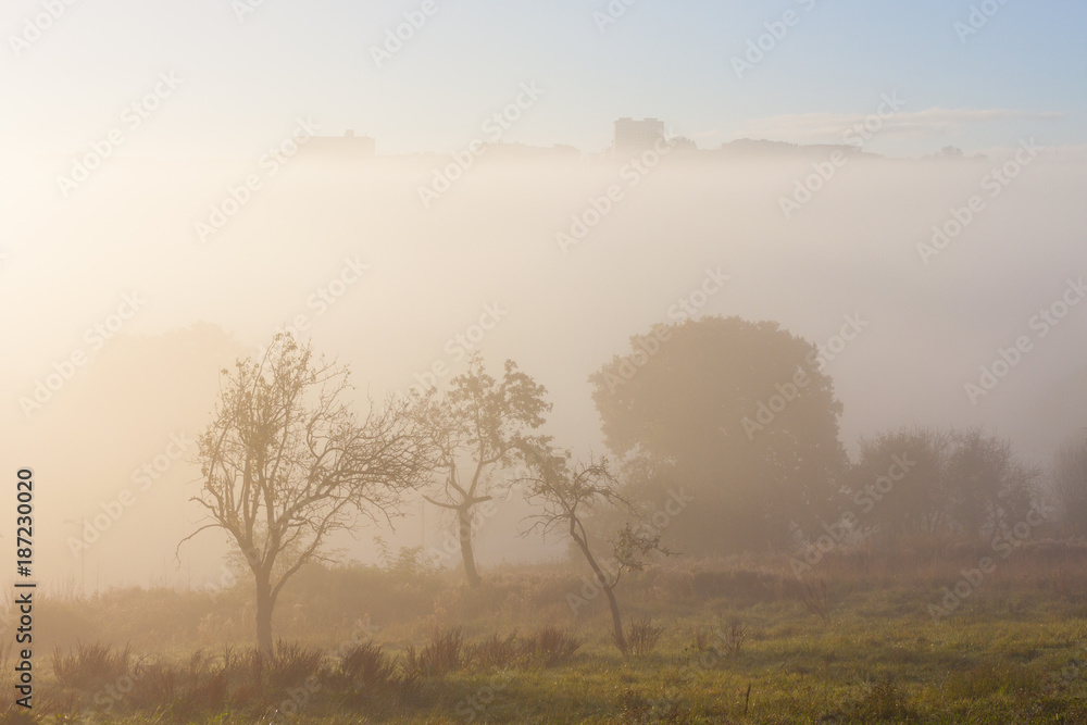 Trees in the morning fog and a silhouette of Oviedo in the background