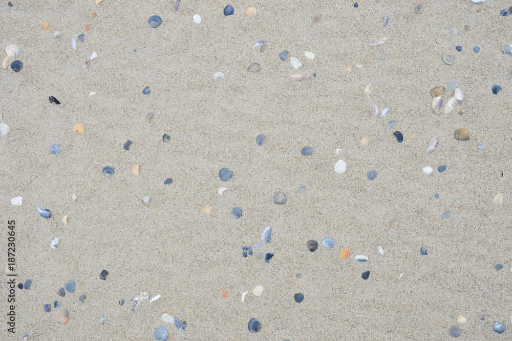 Texture of coastal sand Texture of coastal sand