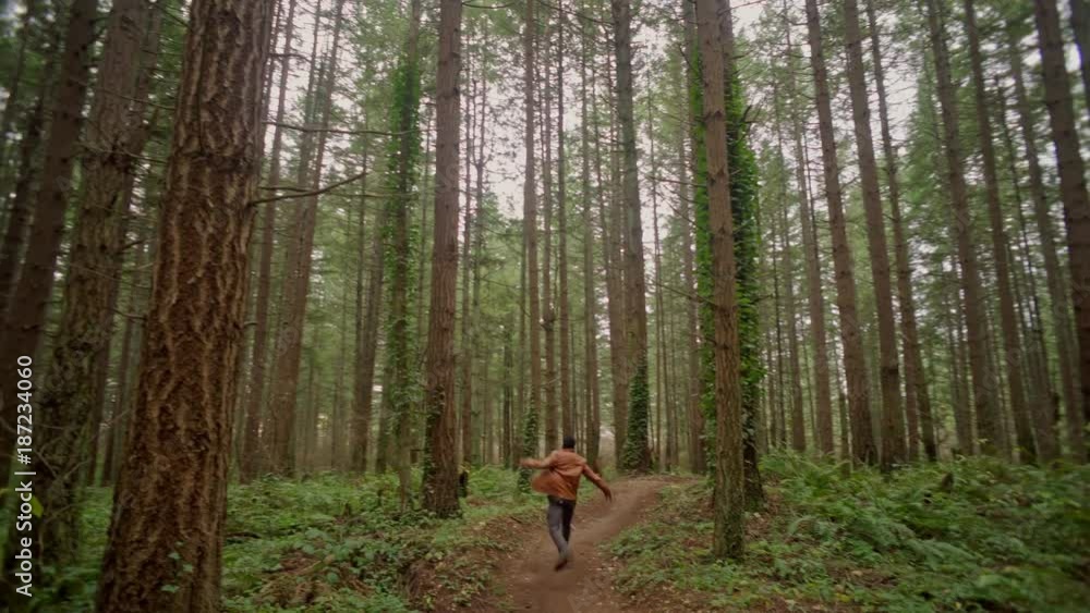 african american man wandering lost in woods african american man wandering lost in woods