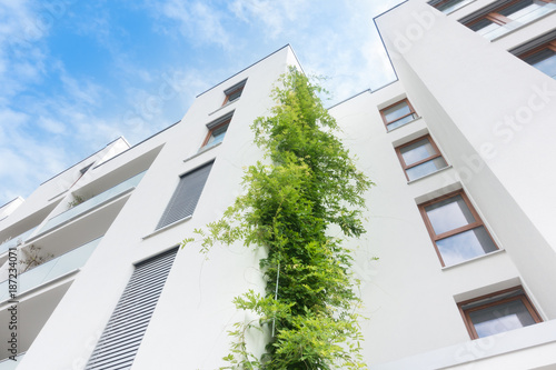 moderne Hausfassade mit Kletterpflanze