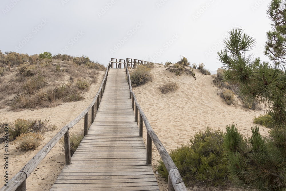 Huelva, Andalusia, Spain. Wooden walkway that crosses the natural park of Los Enebrales, near the park of Doñana.