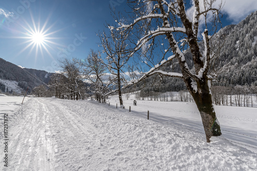 Winterlandschaft blau Himmel eis schnee