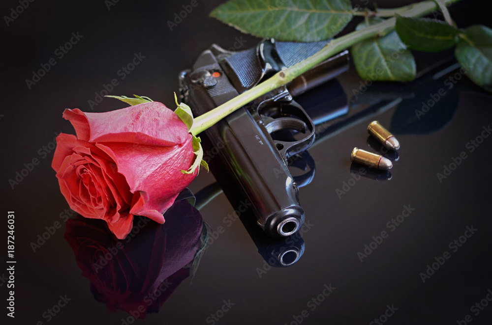 Rose, gun and two bullets on black reflective background Stock Photo |  Adobe Stock
