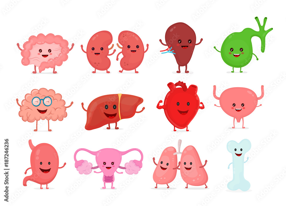 Fototapeta premium Cute smiling happy human healthy strong 