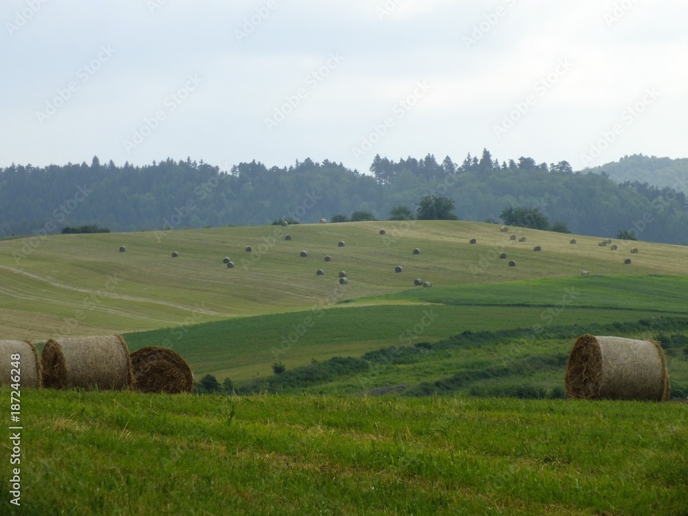 Fototapeta premium Landscape