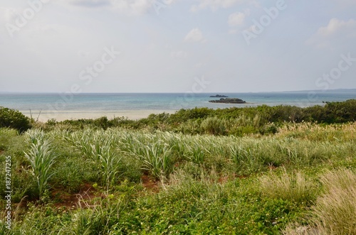                                   Japan Okinawa Ishigaki islands Kohama island