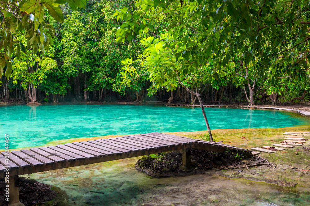 Obraz premium Wooden flooring around the emerald pool in Krabi, Thailand